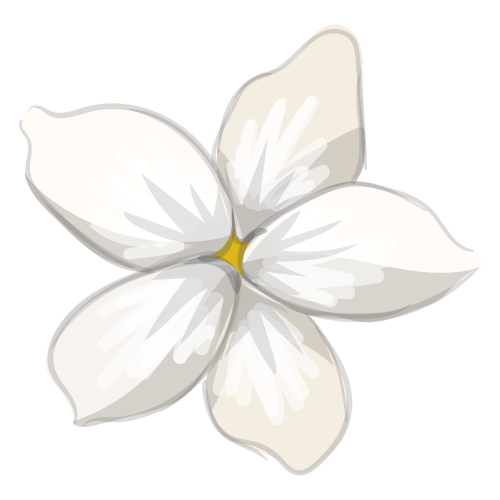 Jasmine Technology for development
